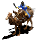 Camel Rider